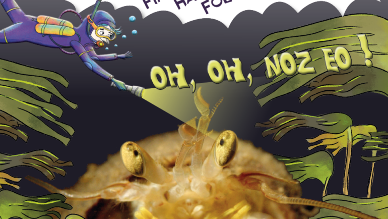 Louarnig 265 • novembre 2024