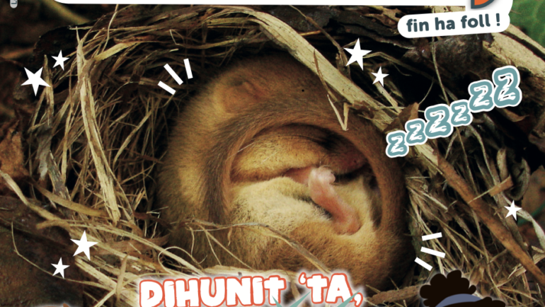 Louarnig 279 • Genver 25